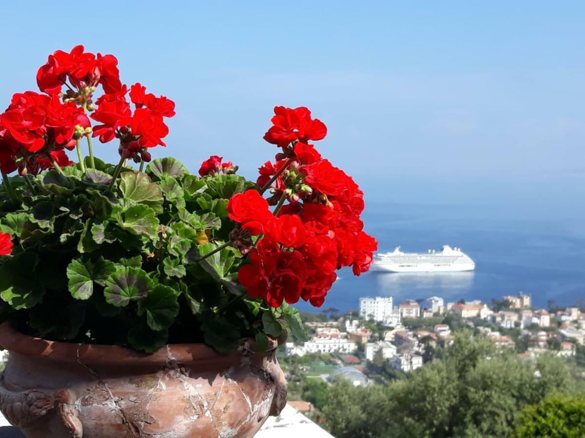 Le Muse Suite Sorrento Exterior photo